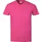 Image for Fuchsia